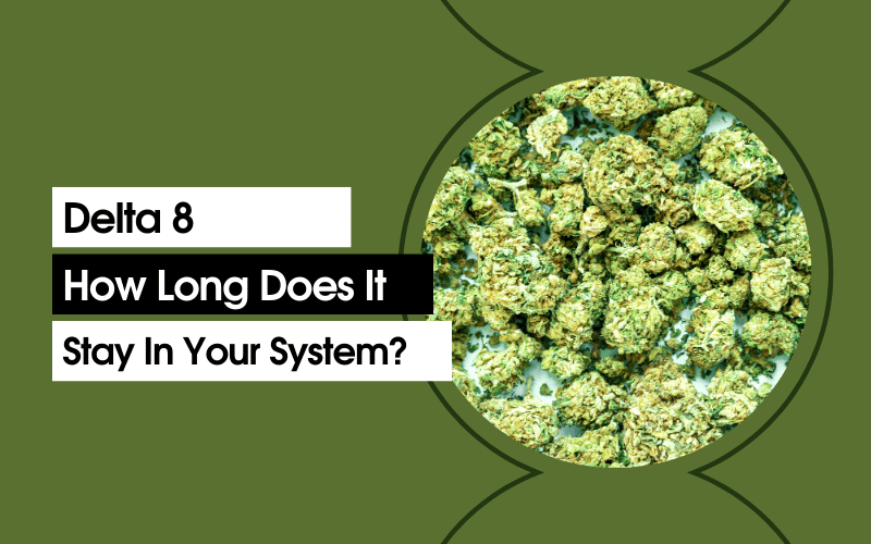 How Long Does Delta 8 Stay in Your System? Explained